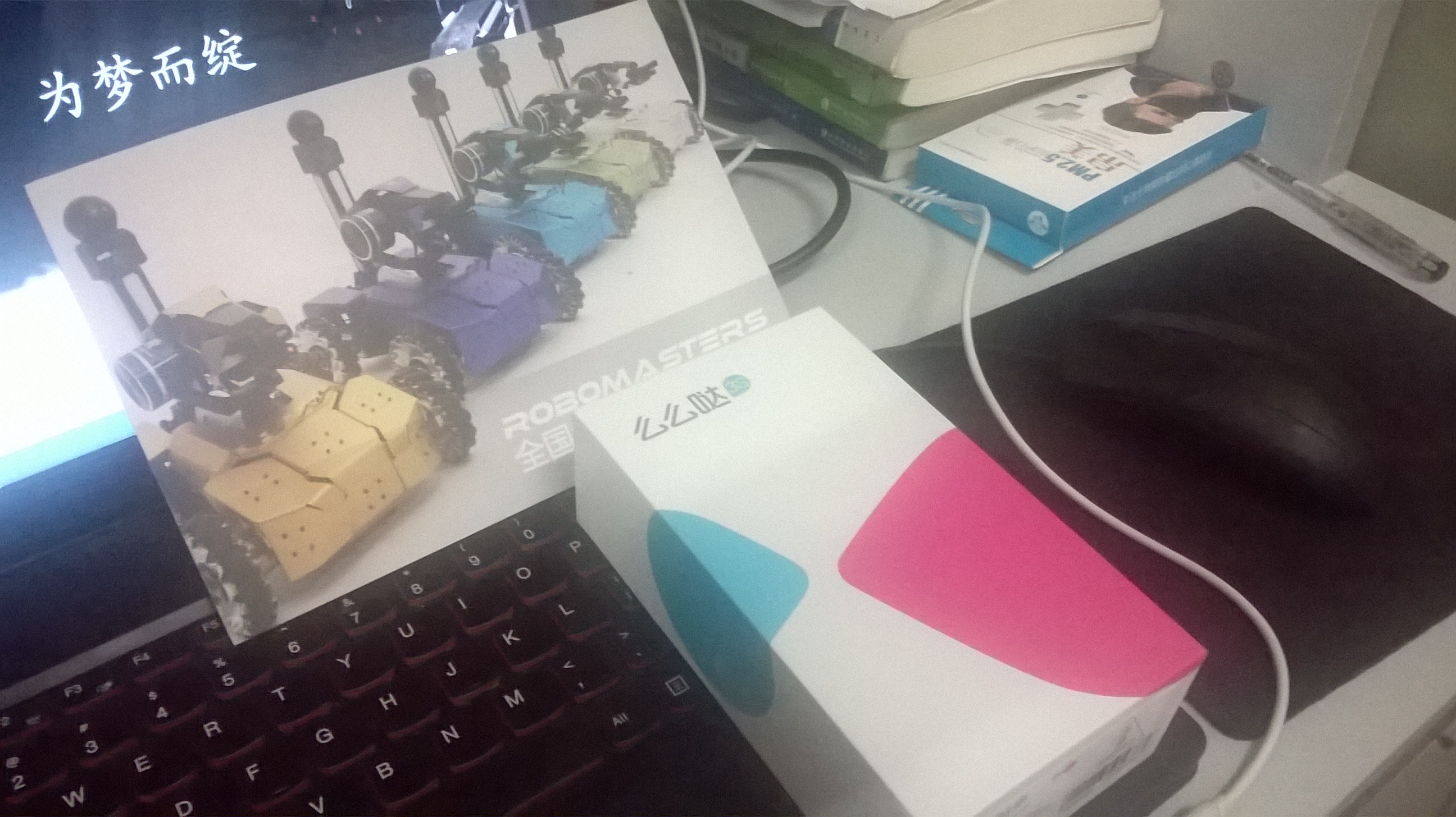 WP_20151104_002.jpg
