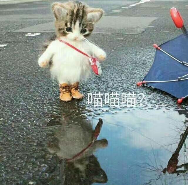 QQ图片20171230015319.jpg