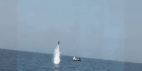 missile.gif