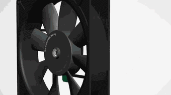 电机2.gif